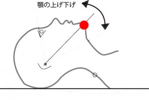 顎の上げ下げ　図解